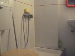 Das Badezimmer: Dusche, Waschbecken und Toilette.